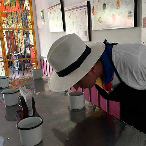 Catacion de cafe